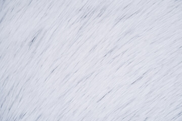 White Fur Texture with Diagonal Lines