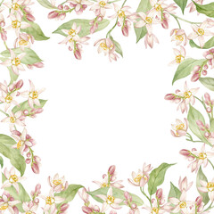 Frame of watercolor lemon branches with fragrant flowers. Hand drawn, isolated
