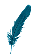 Fototapete Federn blue feathers on white isolated background 