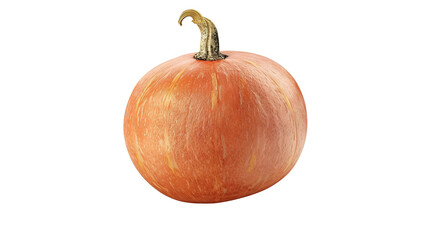 Isolated Pumpkin on PNG Transparent background