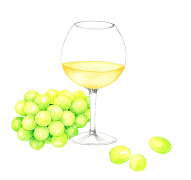 白ワインとぶどうの果実　飲み物（お酒）の手描き水彩イラスト素材