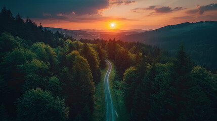 A scenic view of a winding road through a dense forest at sunset, showcasing the warm glow of the sun setting over the horizon and illuminating the treetops with a soft, golden light.