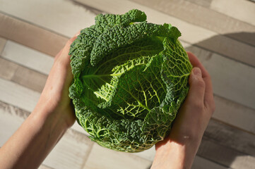 Woman holding fresh organic savoy cabbage - 747852022