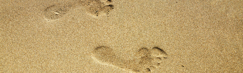 Fototapeta na wymiar Web banner 4x1. footprints of men's bare feet on a sandy beach