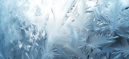 The delicate beauty of frost unfolds in intricate patterns against a backdrop of soothing blue hues