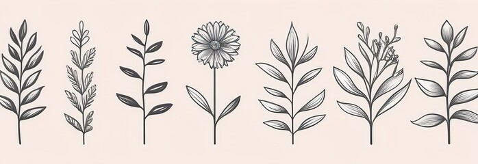 Naklejka premium Botanical drawing. Minimal plant logo, meadow greenery, leaf and blooming flower abstract sketch element collection, linear rustic branch. drawn wedding invitation bouquet decoration set