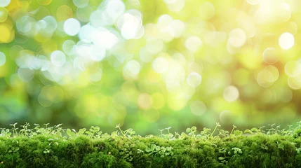 Tuinposter Fluffy green moss against a beautiful blurred natural landscape background in a long panorama, embodying the concept of a cozy autumn mood © shaiq