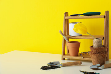Gardening supplies and tulips in pot on yellow background, space for text