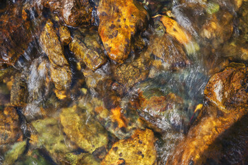 Obraz na płótnie Canvas Natural background, the stones at the bottom of the creek. Clean stream.