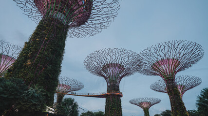 garden by the bay singapore