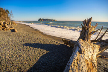 Rialto Beach with driftwood and pebbly sand in Washington State. Rialto Beach, situated within...