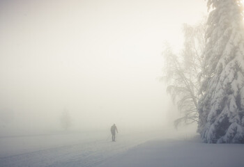skieur de fond ou nordique sur une piste dans la brume