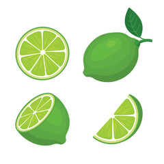 Lime With Slices and Leaves Set on white background. Vector