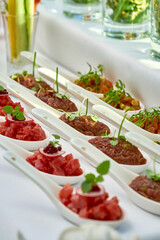 Appetizer for the banquet - different types of salmon, beef and tuna tartare on the table