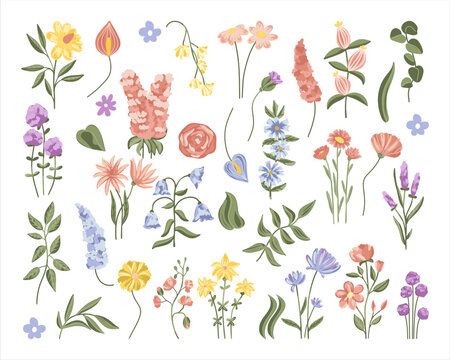 Vector set of flowers, leaves. Rose, bells, lavender, chamomile, female happiness and many others.
