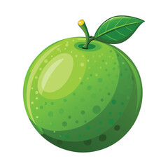 Isolated Realistic Green Lime Vector Illustration