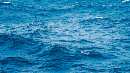 Ocean Waves From The ship	
