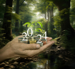 Hands holding growing tree with 2024 white text and coins over rill and forest in spring with sunlight shining through the trees, Happy new year 2024 business ecological concept