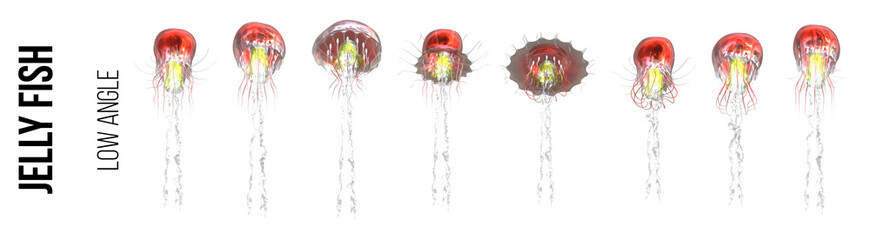 Swimming sequence of a red Jellyfish on a transparent background - Low Angle