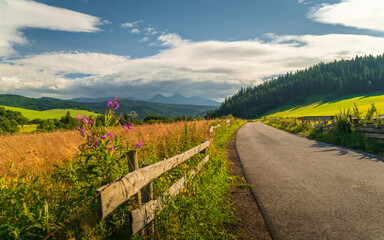 Fototapeta premium Tatra Mountains, Poland. Panorama of a mountain landscape. Country road in the mountains