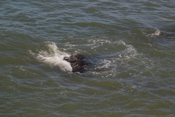 Obraz premium Safi City, Morocco