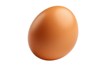 A Brown Egg. A single brown egg sits on a plain white background. The egg is oval shaped with a smooth surface and a slightly pointed end. The background is clean and free of any distractions.