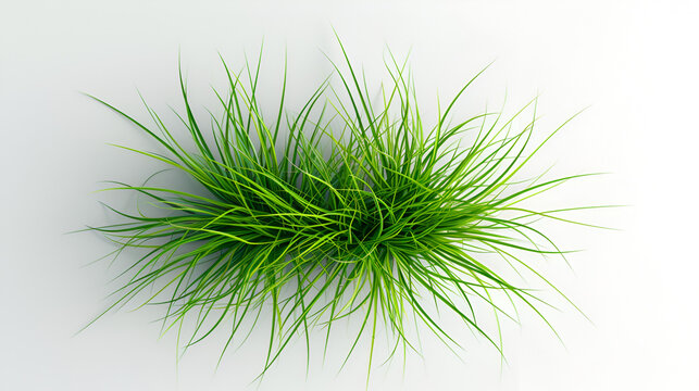 Bunches of green grass isolated on white background. generative ai