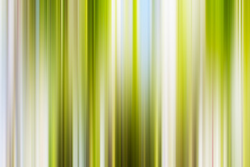 Obraz premium blurred abstract background texture green vertical stripes