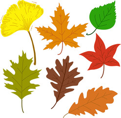 Set of autumn leaves