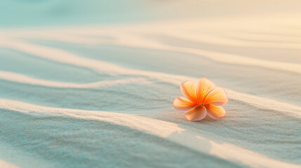  a clean composition depicting a single, vibrantly colored flower blooming amidst a vast expanse...