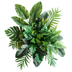 Tropical bush foliage