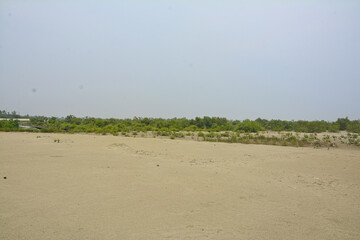 beautiful Mangrove forest and behind mousuni island
