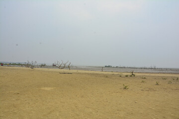  beautiful Mangrove forest and behind mousuni island
