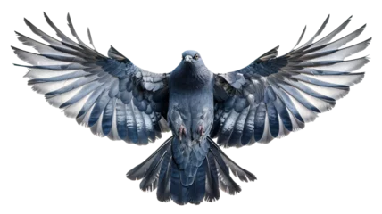 Fotobehang Feathers ruffled, wings spread wide, each bird's essence depicted. This png file on a transparent background.  © Shamim