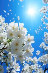 White Flowers and Green Leaves Against a Blue Sky