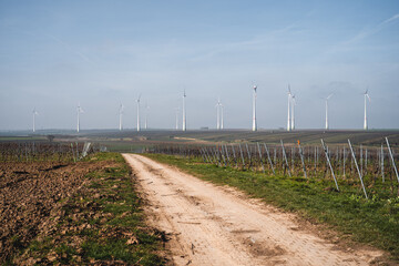 Hohlwege mit Pflastersteinen in Mettenheim am Rhein