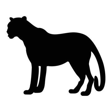Cheetah silhouette Quality full vector illustration of a cheetah on a white background