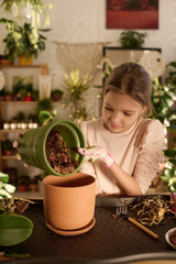 Modern preteen girl wearing gloves replanting houseplant in bigger pot adding soil to it