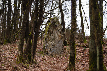 Menhir in Schönberg im Hunsrück