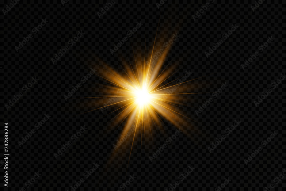Poster golden particles of light. golden light. light flare.stars isolated on transparent background.