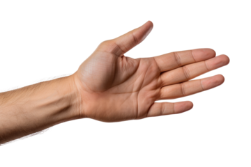 A persons hand is shown against a plain white background, with fingers slightly curled. The hand appears clean and well maintained.