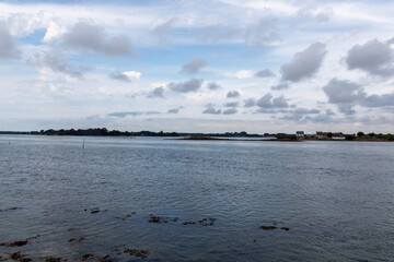 the river in the forest