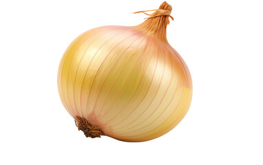 A single onion is displayed prominently against a clean white background. The onions layers, texture, and overall shape are clear and detailed in the image.