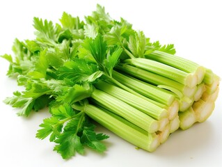 fresh greens celery white background