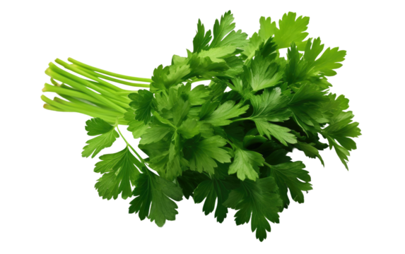 A cluster of fresh, vibrant green parsley leaves arranged neatly on a clean, white surface. The parsley leaves are bright and healthy, showcasing their distinct curly shape and rich color.