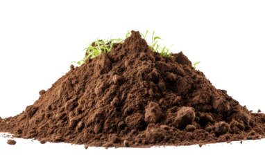 A mound of dirt is pictured with patches of green grass emerging from its surface. The grass appears to be thriving despite the rugged environment of the dirt pile.