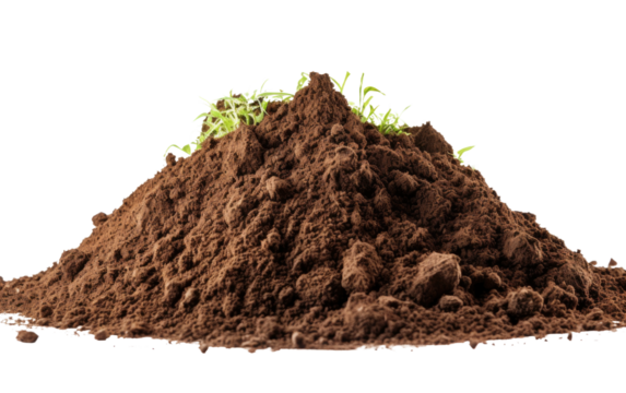 A mound of dirt is pictured with patches of green grass emerging from its surface. The grass appears to be thriving despite the rugged environment of the dirt pile.