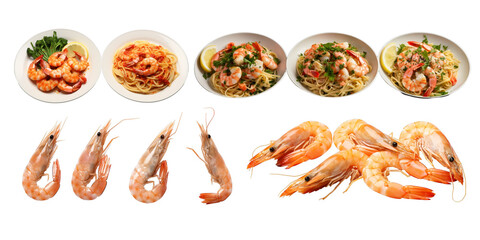 Collection of shrimp scampi isolated on a white background as transparent PNG