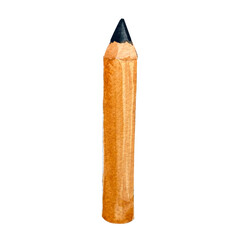 Watercolor color pencil on white background.