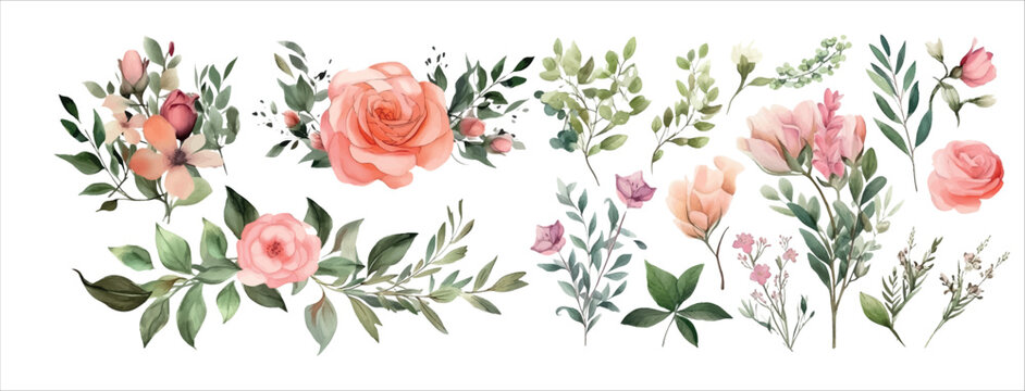 Watercolor Floral Arrangement Collection Featuring Roses, Leaves, and Blossoms for Invitations, Decorations, and Art